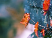 开云体育入口-奥运关键夜，金玟哉制胜一击铸就荣耀之路