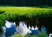 开云下载-76人主场狂胜黄蜂，豪斯浓眉化身扭转战局关键先生