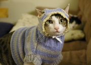 开云体育在线-奇才黑马逆袭终结尼克斯连胜神话，哈利伯顿一战封神诠释何为关键先生