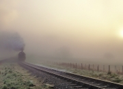 开云官网-硬仗中的荣耀，几内亚力克曼城，范戴克赛场点燃激情