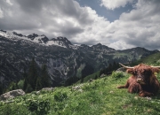 开云下载-蓝色风暴遭遇金色闪电，曼城对阵牙买加，黄喜灿全程高能输出