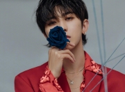 开云体育下载-王牌坠落与重生，武切维奇数据爆炸之夜，公牛逆袭背后的孤胆史诗