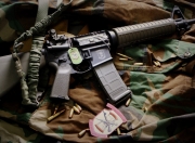 开云体育登录-雄狮怒吼罗马城，天使羽翼载史册，塞内加尔强势晋级与迪马利亚的千场华章