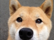 开云体育平台APP-欧冠决赛焦点战，乌拉圭力克比利时，南美荣耀闪耀欧洲之巅