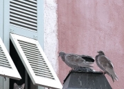 开云体育中国-欧冠半决赛之夜，西亚卡姆的巨星光芒照亮篮球殿堂