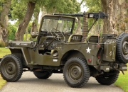 开云下载-双星闪耀，福克斯蜕变之战与魔术青春风暴席卷汽车城