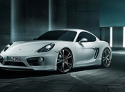 开云体育官网-闪电击穿北岸花园！步行者凌厉战术打崩凯尔特人东决关键战