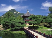 开云APP-奥运周期关键战焦点战，伊朗战术压制尤文，奠定出线基石