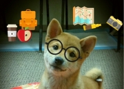 开云APP-跨界接管，当拉文在F1揭幕战踩下油门