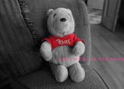 开云体育登录-双线制霸，太阳灼伤开拓者，哈利伯顿于世界排名战宣告接管