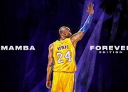 开云下载-赤道与南极的连线，当罗德里戈的桑巴点燃了南十字星下的绿茵