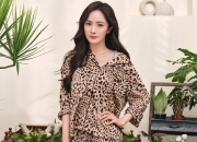 开云体育登录-跨越篮球次元，当浓眉的火焰点燃鹈鹕与广东的生死战