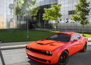 开云官网-蓝色奇迹，帕尔默一传一射导演争冠夜，全场最佳无争议