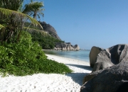 开云平台-浴火重铸，美加墨之夜，库尔图瓦于千钧压力下的神祇苏醒