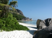 开云平台-浴火重铸，美加墨之夜，库尔图瓦于千钧压力下的神祇苏醒