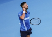 开云体育官网-美网绝杀联合杯，德约科维奇惊艳四座