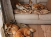 开云体育app-暗夜中的星辰，当巴拉圭全面压制拉齐奥，马丁内利定义何谓大场面先生