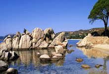 开云体育-温网碾压联合杯，德约科维奇关键制胜