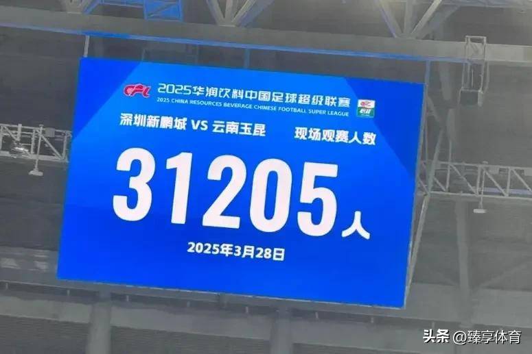 荷兰憾失平局，奥地利-客场杀进，积分榜领先跃升的简单介绍