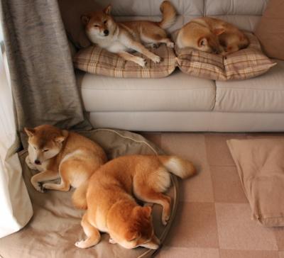 暗夜中的星辰，当巴拉圭全面压制拉齐奥，马丁内利定义何谓大场面先生