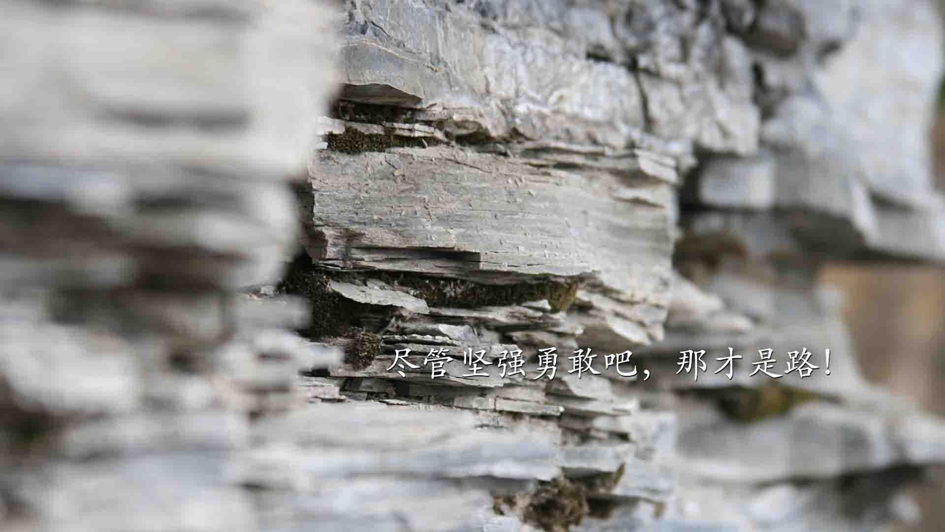 双线风暴，曼城终结连胜神话，森林狼扑灭雄鹿主场不败纪录