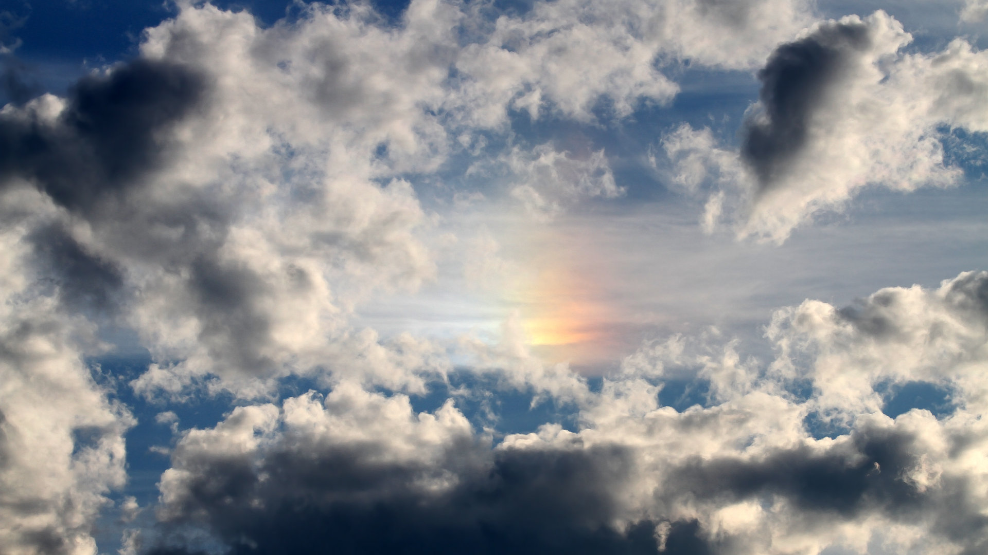 德甲争冠焦点战,奇才力克独行侠的体育哲学