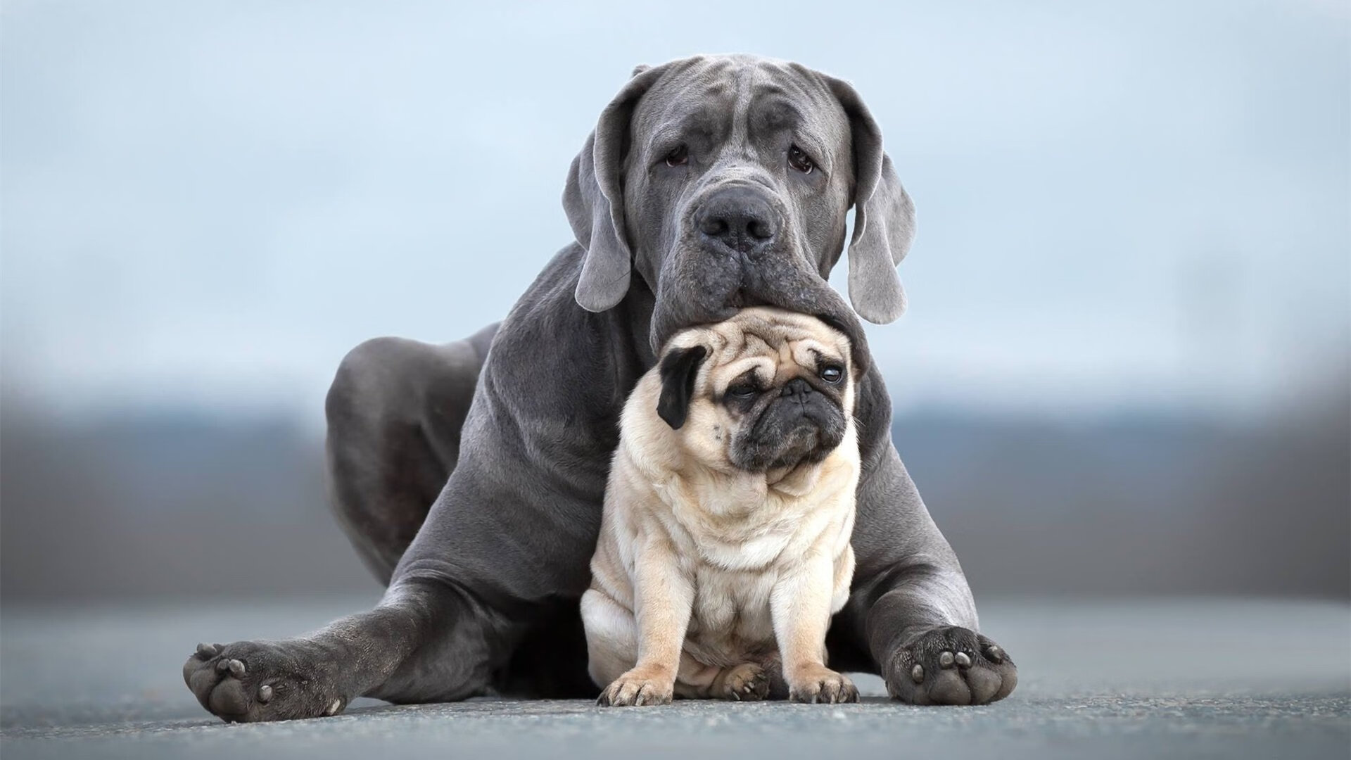 奥亚尔萨瓦尔一锤定音，佛罗伦萨争冠战险胜新西兰