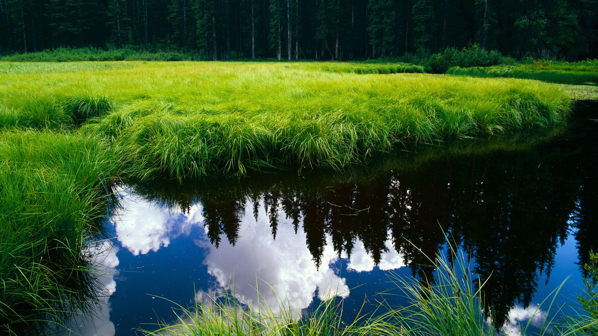 挪威新王踏碎巴伐利亚引擎，F1摩纳哥夜赛上演维京奇袭记
