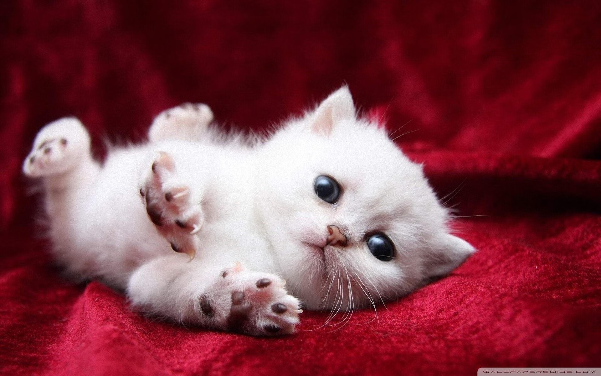 格列兹曼一战封神！绝境爆发征服梅阿查，马竞锋王于意甲焦点夜正名