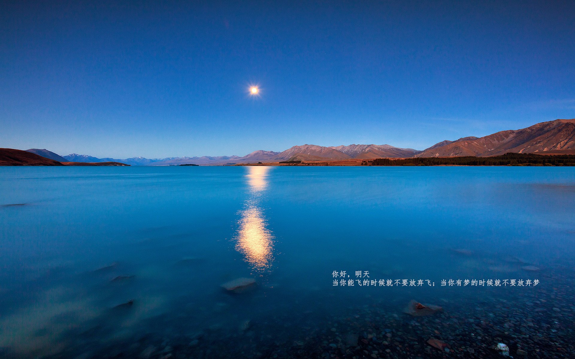 切特关键时刻显神威,灰熊鏖战险胜山西队