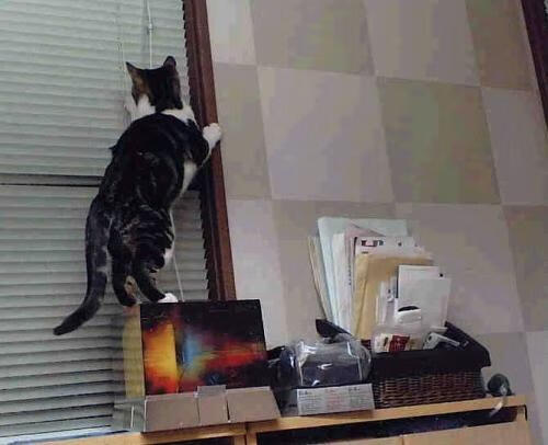 西甲国家德比之夜，基耶萨的压制级发挥