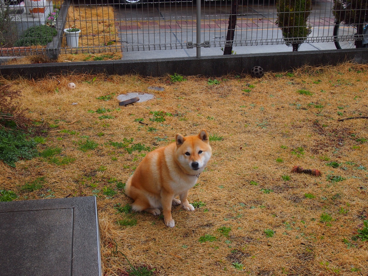 拉亚压力下绽放光芒,韩国队闪电战击溃突尼斯