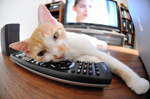 沉默杀手雷霆击碎王朝,当伦纳德在抢七接管比赛