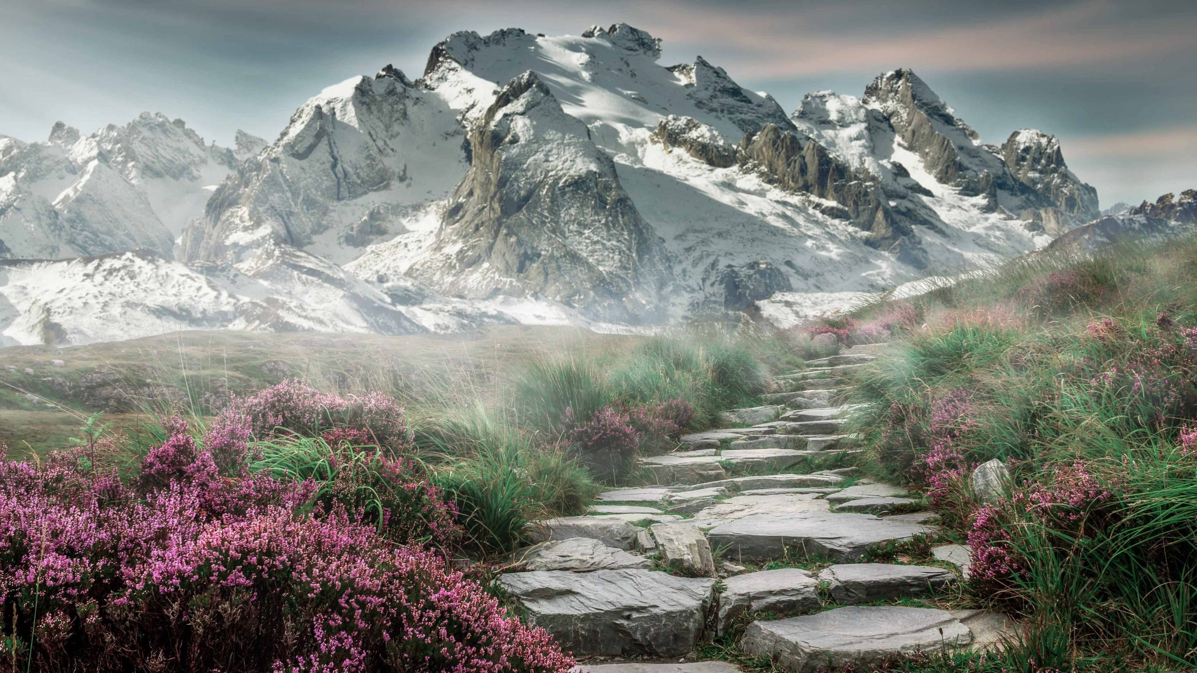 惊天之战！克莱生涯之夜摧城拔寨，凯尔特人爆冷击退开拓者