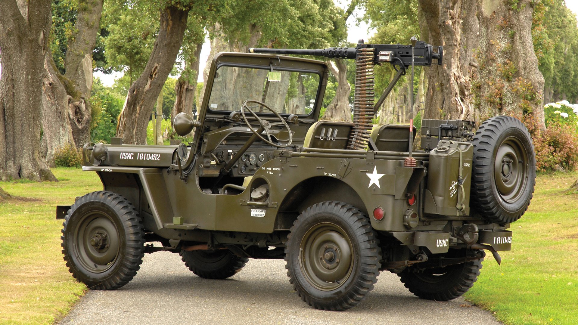 双星闪耀，福克斯蜕变之战与魔术青春风暴席卷汽车城