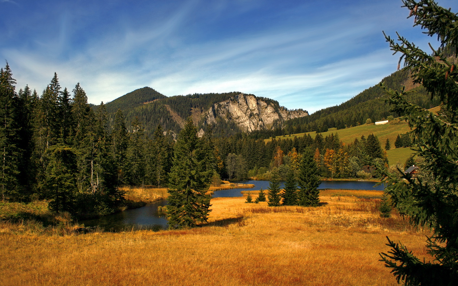 绝杀！制导导弹洞穿篮网！杰伦·格林在年度焦点之战主宰沉浮
