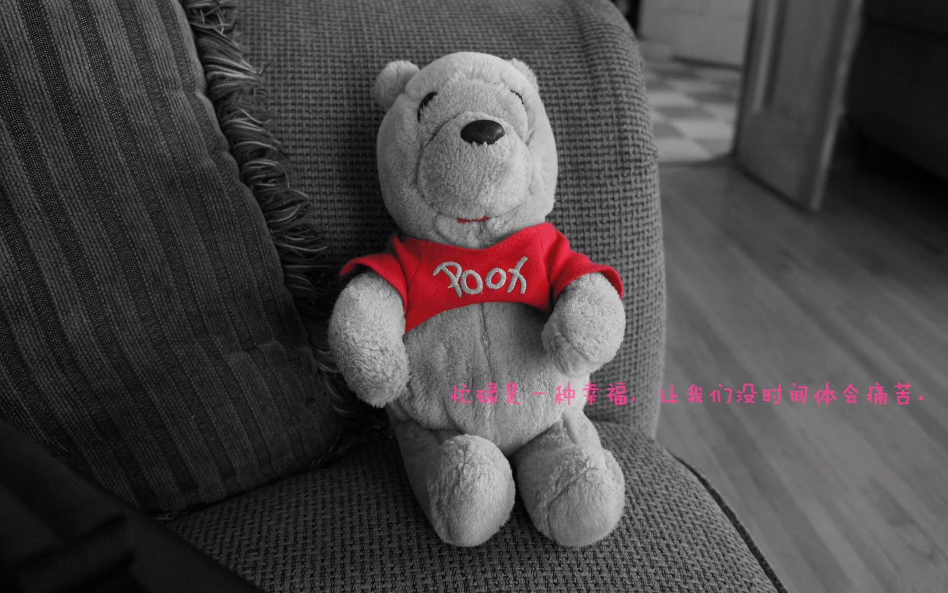 双线制霸,太阳灼伤开拓者,哈利伯顿于世界排名战宣告接管